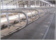 3mm klemmen Stärke galvanisierte Rohr-Kuh frei für Milchkuh-Bauernhöfe fest