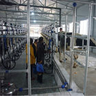 Automatisches Melkströmungsmesser-Fischgrätenmuster-Melkwohnzimmer für Molkerei