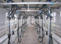 Plan-kompaktes Melkausrüstungs-Fischgrätenmuster-Melkwohnzimmer für Ziegen-Bauernhof