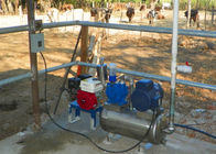 Kühe/Schaf-Eimer-tragbare Aluminiummelkmaschine mit gesundheitlichem Eimer