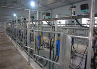 Automatisches Melkwohnzimmer mit computergesteuertem Electroinc-Milch-Maß-System