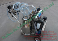 Zwei Inox-Eimer-Benzin-Vakuum, das Ausrüstung für das Milchvieh-Melken milk